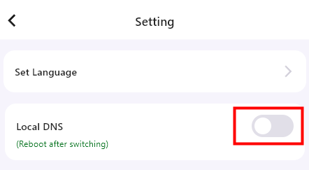 DNS servers