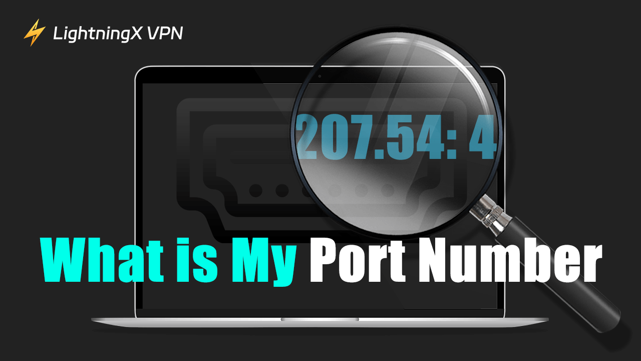 What is My Port Number？