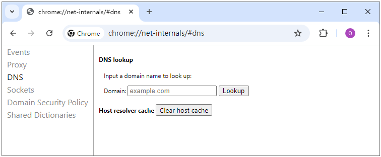 Flush DNS Cache on Chrome