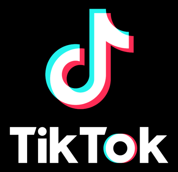 Best YouTube Alternative - TikTok