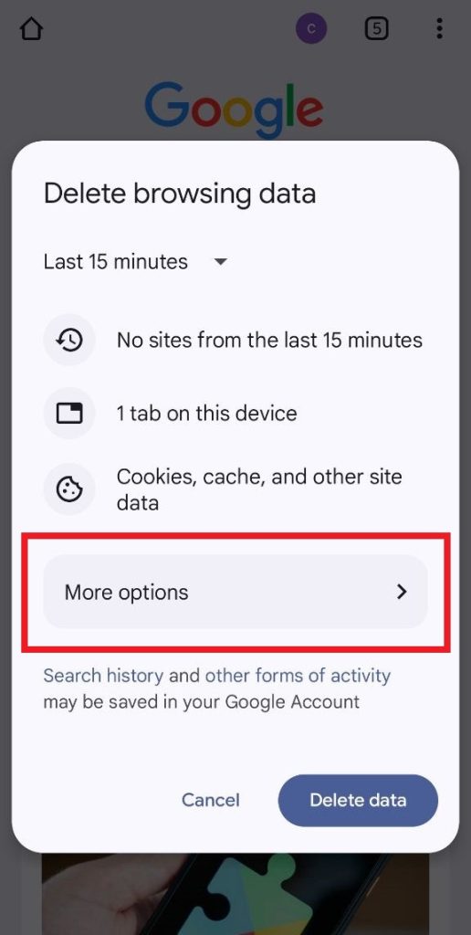 Tap More Options on the Delete Browsing Data Page