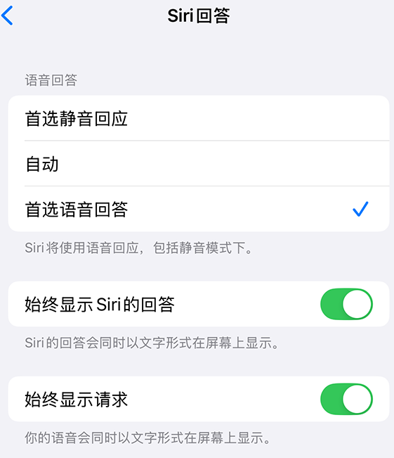 检查Siri设置