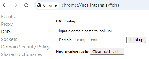 Clear DNS Cache in Google Chrome