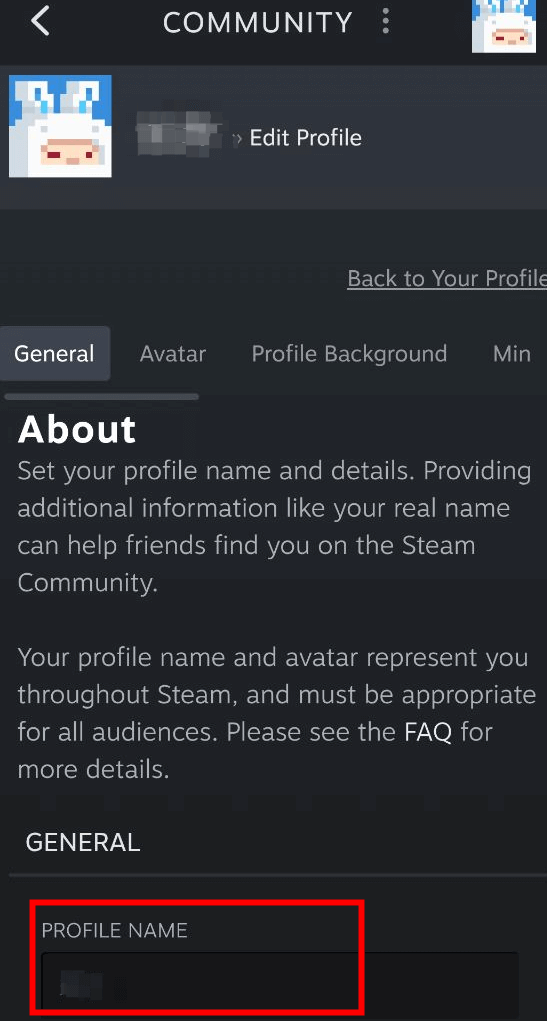 The “PROFILE NAME” Field on Steam Mobile