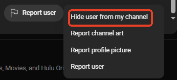 From the pop-up options, select “Hide user from my channel”
