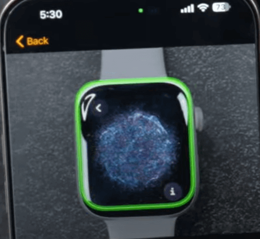 Place the Apple Watch within the Camera Frame