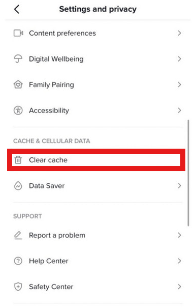Clear TikTok cache
