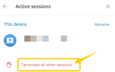 Terminate all other sessions
