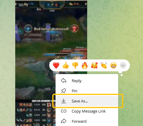 Download the Telegram video to your computer