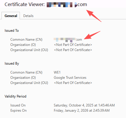 SSL certificate details showing domain name match