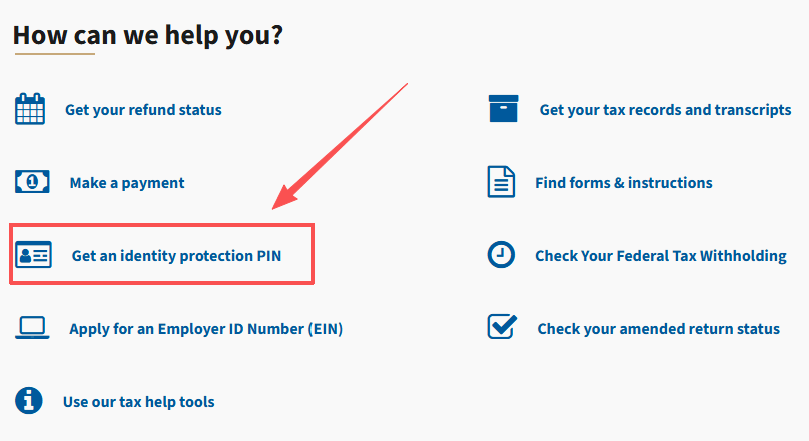 Get an IP PIN for your child on the IRS official website